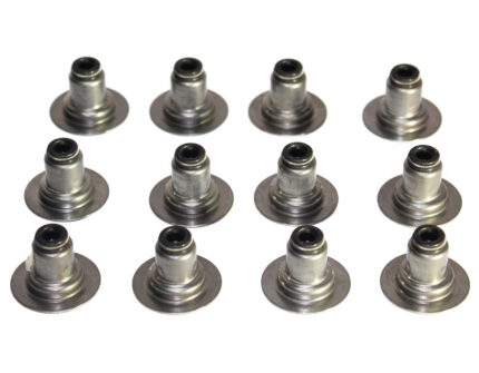 JGO GOMAS VALVULAS CAPTIVA (12 PIEZAS)