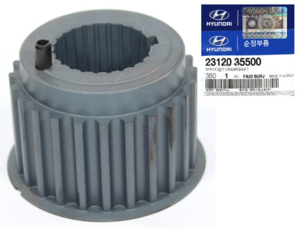 PINON CIGUENAL TUCSON /SANTA FE/TIBURON